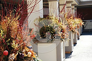 Flower Planters photo