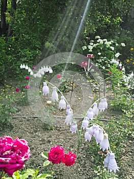 ..A flower from a plastic bottle. Mushroom from old pans. Swan from the bus. Decoration for the garden do it yourself. Reuse