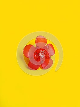 Flower Plastic shrink pin for kids