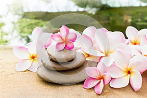 Flower plumeria or frangipani sweet decorated on pebble rock in