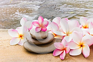 Flower plumeria or frangipani sweet decorated on pebble rock in