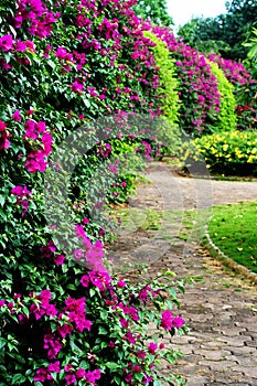 Flower Porch photo