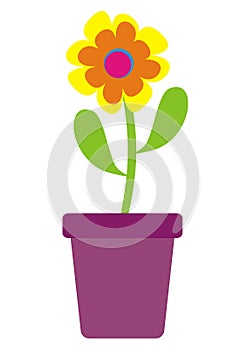 Flower in a pot