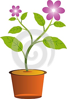 Flower with pot