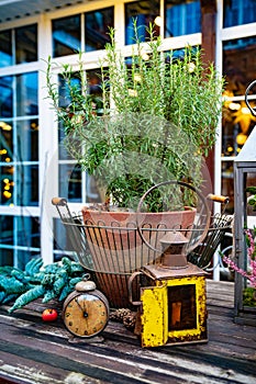 flower in a pot, antique clock and lantern. a wooden table in the courtyard.