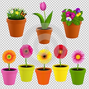 Flower In Pot Collection