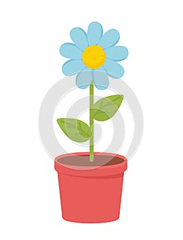 Flower in pot concept