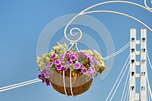 Flower pot decoration on bridge