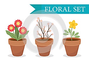 Flower pot with different flowers set, flat style. Flowerpot Collection on white background. Vector
