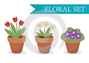 Flower pot with different flowers set, flat style. Flowerpot Collection on white background. Vector