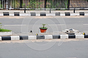 Flower pot on the divider of a flyover road
