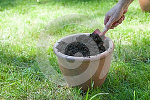 Flower pot filled with compost soil