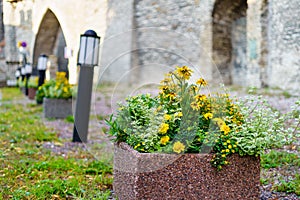 Flower pot with flowers next to the castle wall and small lampposts on the ground.