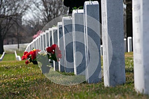 Flower pot in front of a line of gravestones at Arlington National Cemetery