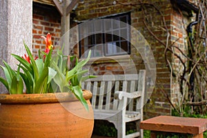 Flower pot in front of a rural clergy house in England photo