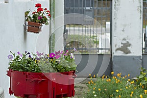 A flower pot in front of the traditional Romanian house  and yellow flowers besides