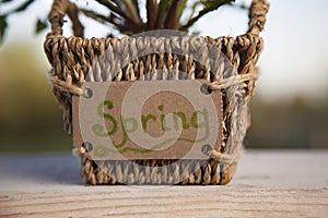 Flower pot holding a spring sign