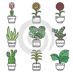 Flower Pot Icon