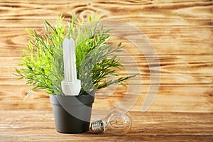 Flower pot with light bulbs on table against wooden background. Electricity saving concept