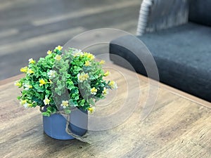 Flower pot on the living room table with copy space.