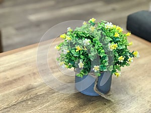 Flower pot on the living room table with copy space.