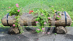 Flower pot made from a big log