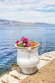 Flower pot over Aegean Sea in Hydra, Greece