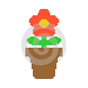 Flower in pot pixel art. 8 bit Vector Illustration