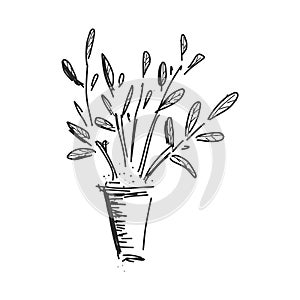 flower pot with plant sketch vector graphics black and white drawing