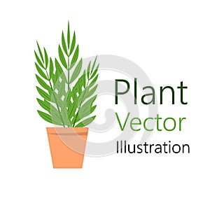 Flower pot with plant