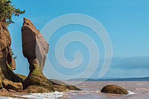 Flower Pot Rock formations at the Hopewell Rocks photo