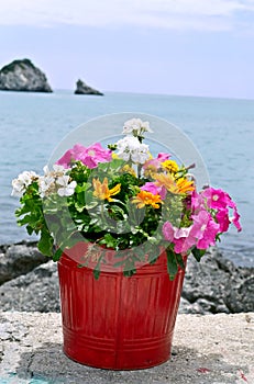 Flower pot with sea