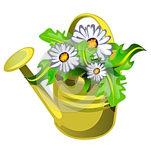 Flower pot in the shape of a watering can yellow color with flowers daisies isolated on white background. Vector cartoon