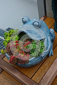 Flower pot shaped like giant frog with opened mouth