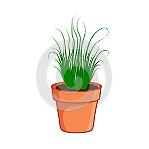 Flower pot vector illustartion