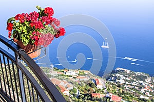 Flower pot on the viewpoint to the Amalfi coast, Italy
