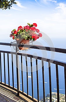 Flower pot on the viewpoint to the Amalfi coast, Italy