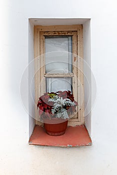 Flower Pot on a Window Frame