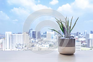 Flower pot on the wooden table at the window of the living room in condominium with city view. urban lifestyle concept with copy