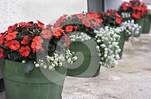 Flower pots