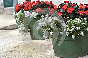 Flower pots