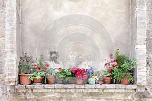 Flower pots on an ancient wall in Tuscany