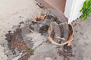 Flower pots; broken flower pot, Old derelict Flowerpot fracture