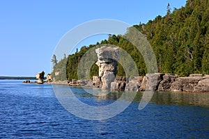 Flower Pots in Flowerpot Island Tobermory