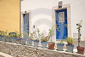 Flower pots in front of two entrances
