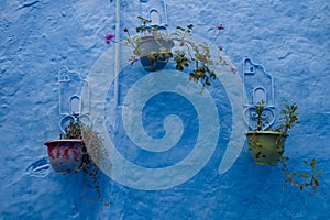 flower pots hanging in a blue wall in Chefchaouen, Morocco