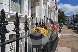Flower pots hanging on railing of luxurious property in London