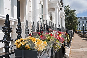 Flower pots hanging on railing of modern apartment in London