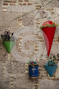 Flower pots hanging on a wall