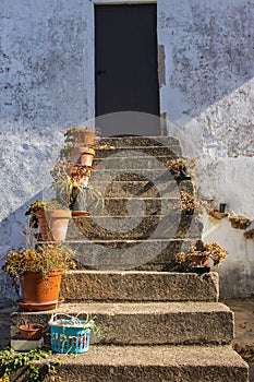 Flower pots nn outdoor stairs with close door. Patio design. Traditional backyard in Europe. Flowers on outdoor steps.